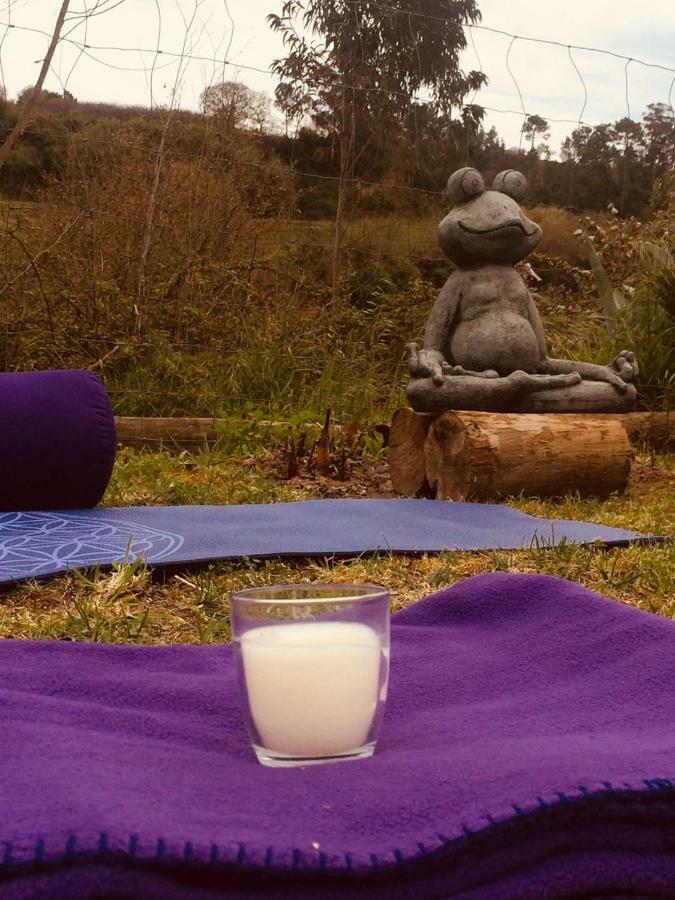 Quinta Da vida Serena Gaio Bagian luar foto